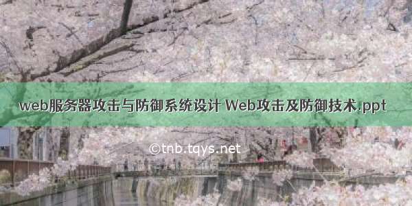 web服务器攻击与防御系统设计 Web攻击及防御技术.ppt