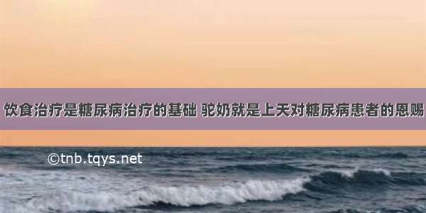 饮食治疗是糖尿病治疗的基础 驼奶就是上天对糖尿病患者的恩赐