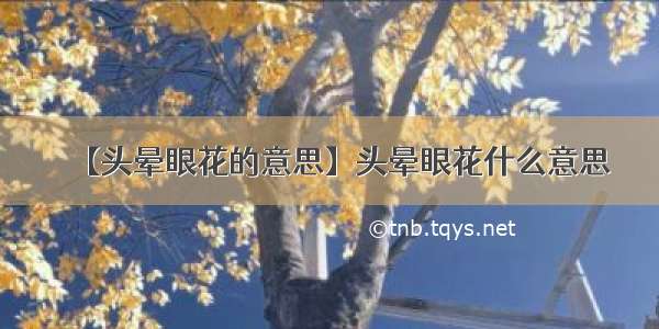 【头晕眼花的意思】头晕眼花什么意思