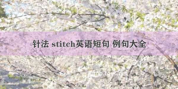 针法 stitch英语短句 例句大全