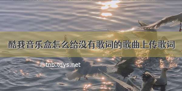 酷我音乐盒怎么给没有歌词的歌曲上传歌词