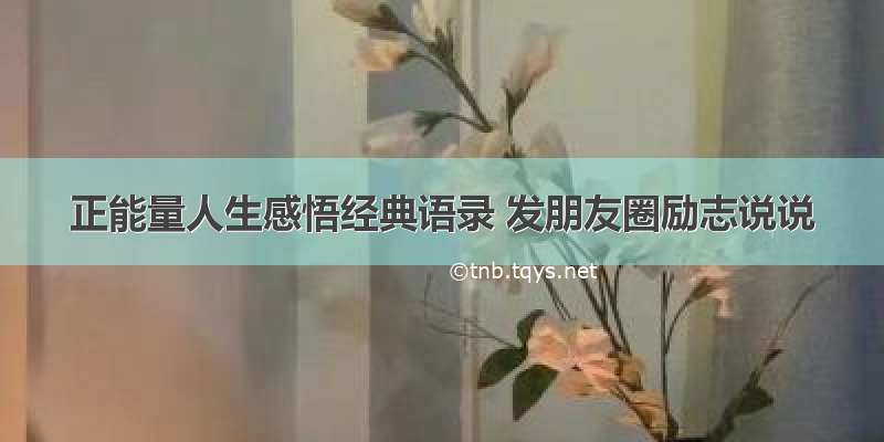 正能量人生感悟经典语录 发朋友圈励志说说