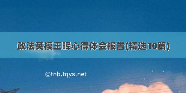 政法英模王晖心得体会报告(精选10篇)