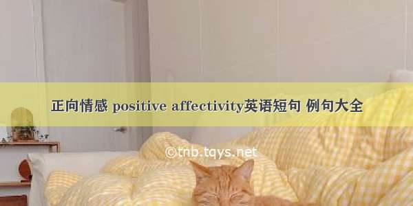 正向情感 positive affectivity英语短句 例句大全