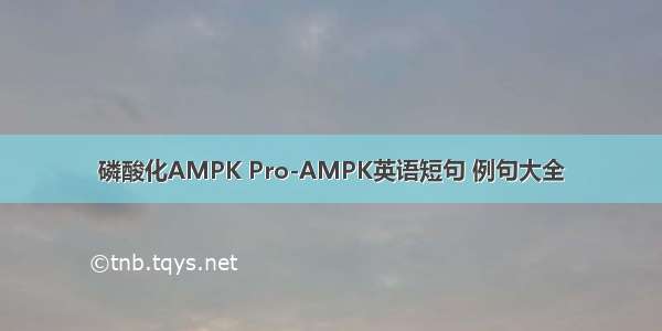 磷酸化AMPK Pro-AMPK英语短句 例句大全