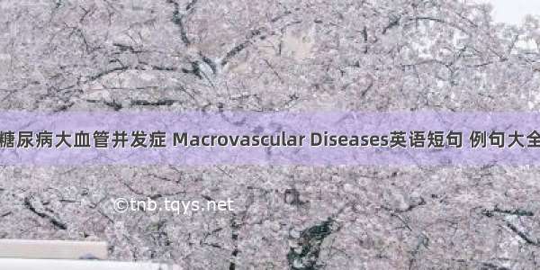 糖尿病大血管并发症 Macrovascular Diseases英语短句 例句大全