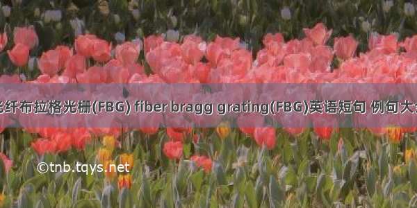 光纤布拉格光栅(FBG) fiber bragg grating(FBG)英语短句 例句大全