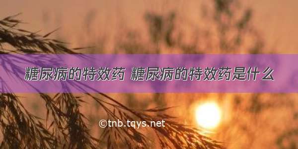 糖尿病的特效药 糖尿病的特效药是什么