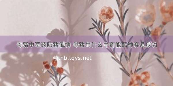 母猪中草药防猪催情 母猪用什么中药能配种容易成功