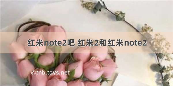 红米note2吧 红米2和红米note2