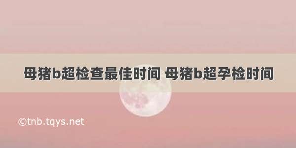 母猪b超检查最佳时间 母猪b超孕检时间