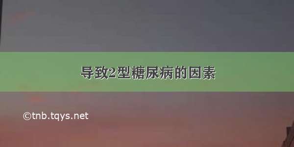 导致2型糖尿病的因素