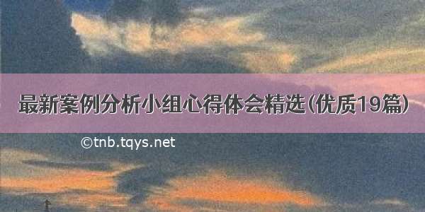 最新案例分析小组心得体会精选(优质19篇)