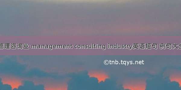 管理咨询业 management consulting industry英语短句 例句大全