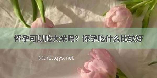 怀孕可以吃大米吗？怀孕吃什么比较好