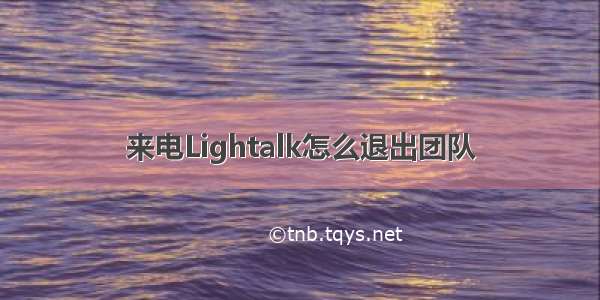 来电Lightalk怎么退出团队