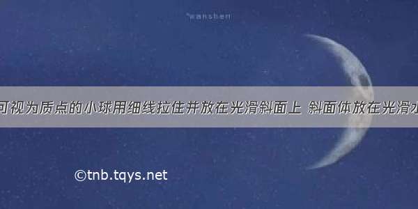 如图所示 可视为质点的小球用细线拉住并放在光滑斜面上 斜面体放在光滑水平面上 水