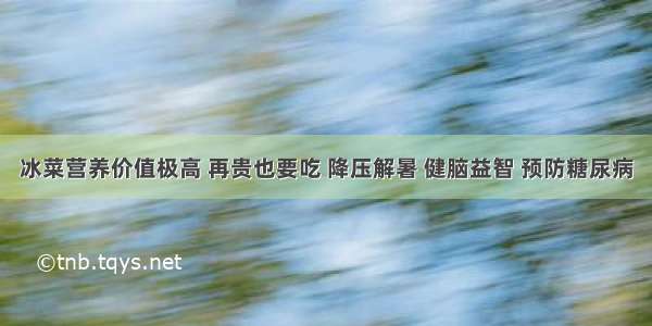 冰菜营养价值极高 再贵也要吃 降压解暑 健脑益智 预防糖尿病