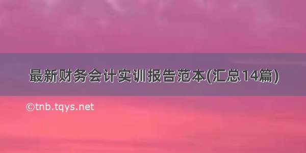 最新财务会计实训报告范本(汇总14篇)