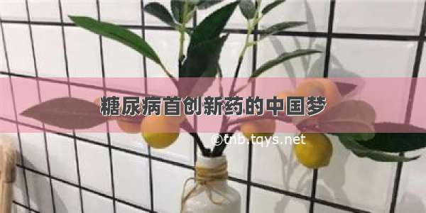 糖尿病首创新药的中国梦