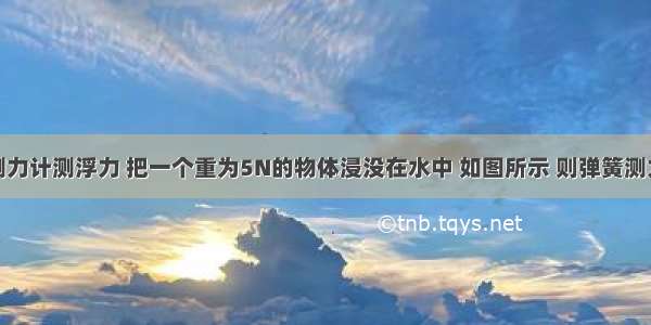 利用弹簧测力计测浮力 把一个重为5N的物体浸没在水中 如图所示 则弹簧测力计的示数