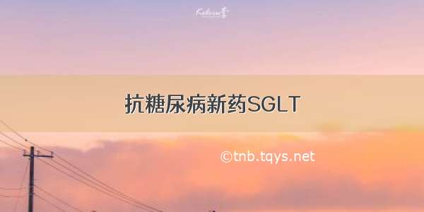 抗糖尿病新药SGLT