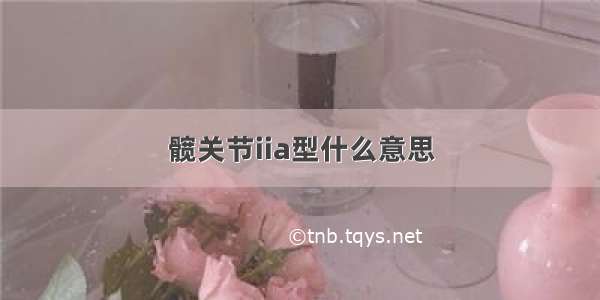 髋关节iia型什么意思