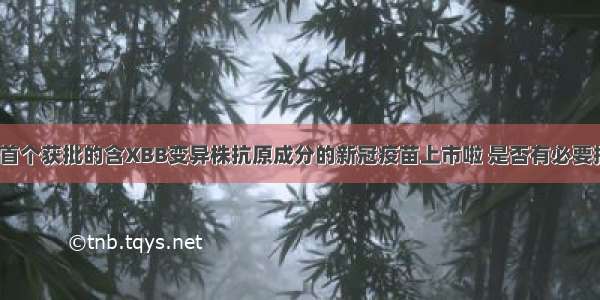 我国首个获批的含XBB变异株抗原成分的新冠疫苗上市啦 是否有必要接种？