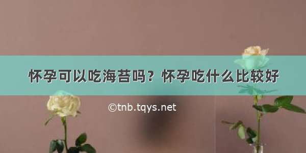 怀孕可以吃海苔吗？怀孕吃什么比较好