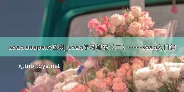 soap soapenv区别_soap学习笔记（二）-----soap入门篇