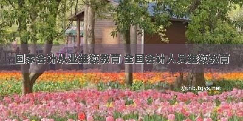 国家会计从业继续教育 全国会计人员继续教育