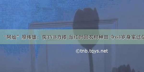 “阿灿”廖伟雄：获TVB力捧 当红时回农村种田 今63岁身家过亿