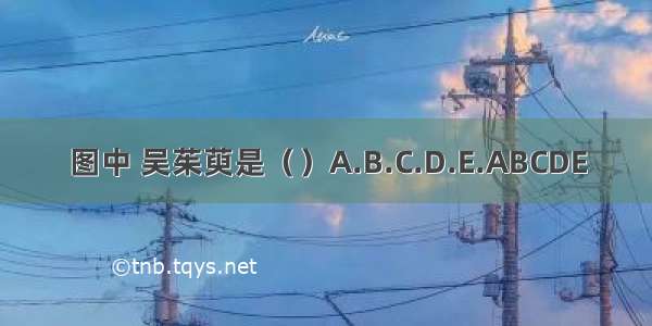 图中 吴茱萸是（）A.B.C.D.E.ABCDE