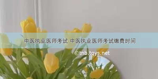 中医执业医师考试 中医执业医师考试缴费时间