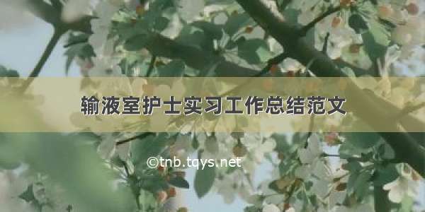 输液室护士实习工作总结范文