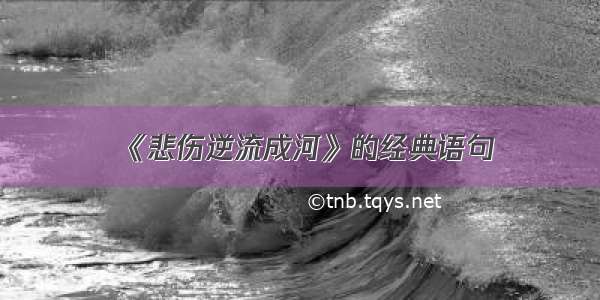 《悲伤逆流成河》的经典语句