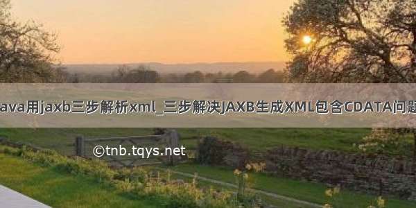 java用jaxb三步解析xml_三步解决JAXB生成XML包含CDATA问题