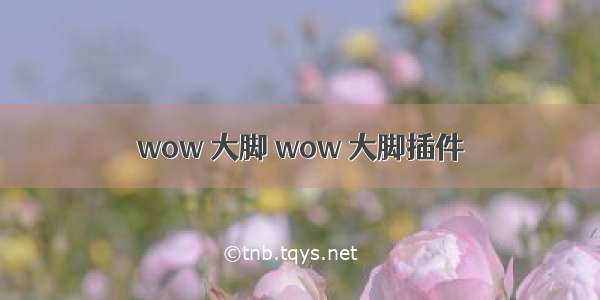 wow 大脚 wow 大脚插件