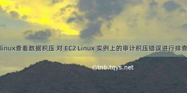 linux查看数据积压 对 EC2 Linux 实例上的审计积压错误进行排查