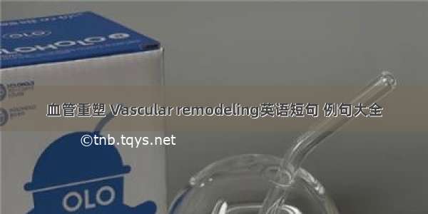 血管重塑 Vascular remodeling英语短句 例句大全