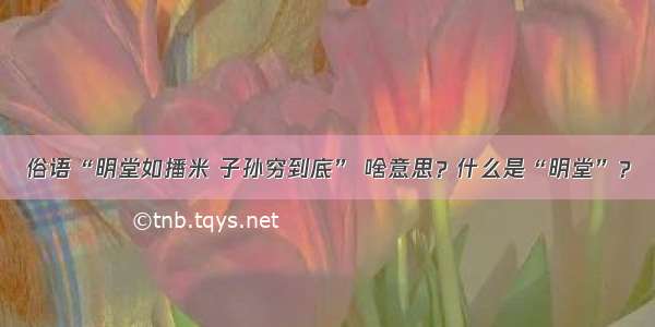 俗语“明堂如播米 子孙穷到底” 啥意思？什么是“明堂”？