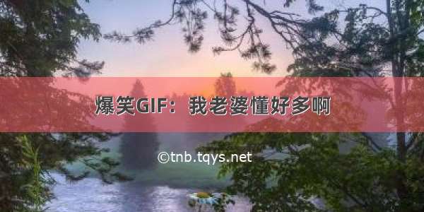 爆笑GIF：我老婆懂好多啊