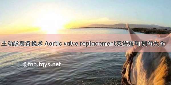 主动脉瓣置换术 Aortic valve replacement英语短句 例句大全