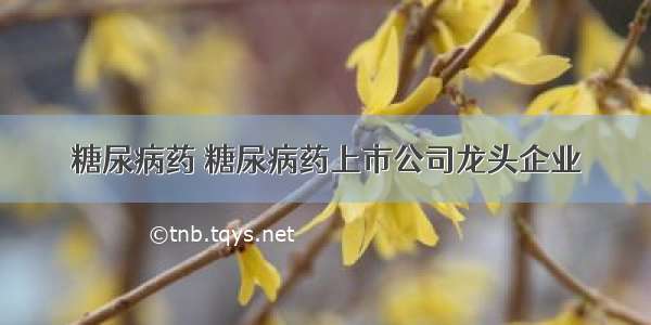 糖尿病药 糖尿病药上市公司龙头企业