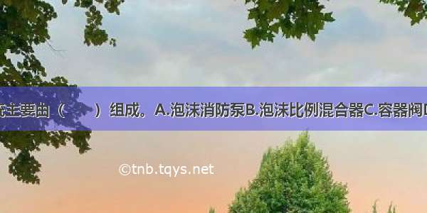 泡沫灭火系统主要由（　　）组成。A.泡沫消防泵B.泡沫比例混合器C.容器阀D.控制阀门及