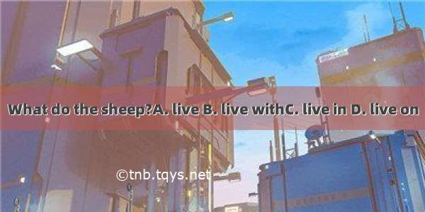 What do the sheep?A. live B. live withC. live in D. live on