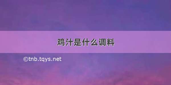 鸡汁是什么调料