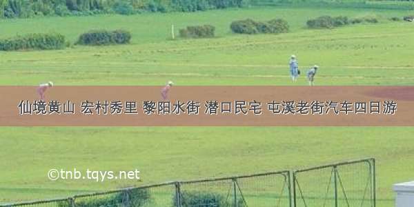 仙境黄山 宏村秀里 黎阳水街 潜口民宅 屯溪老街汽车四日游