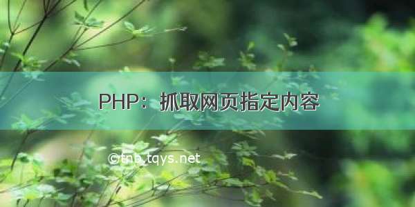 PHP：抓取网页指定内容