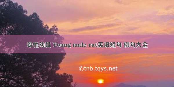 雄性幼鼠 Young male rat英语短句 例句大全